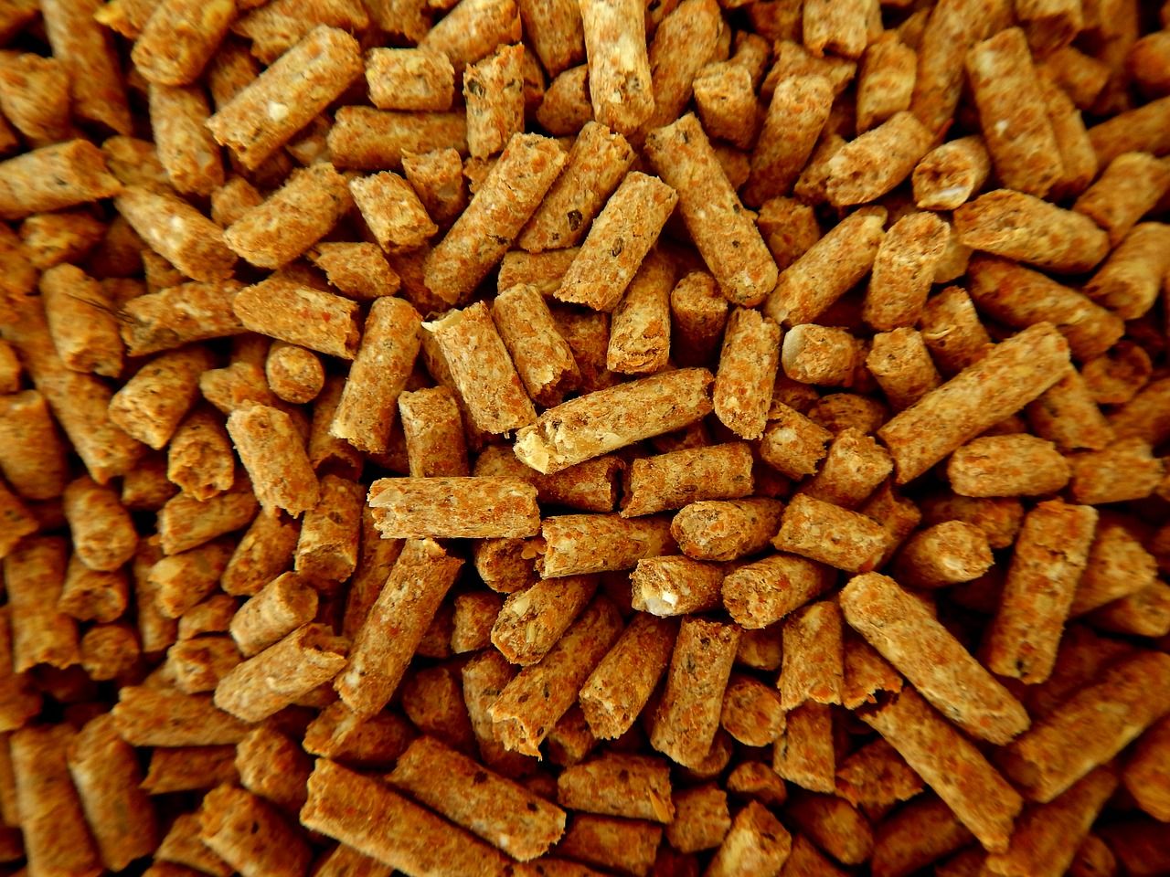 Northern Ireland's compound animal feed sector continues to grow