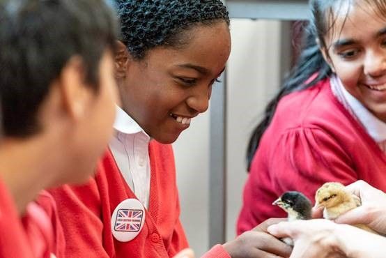 NFU transforms London school into farm