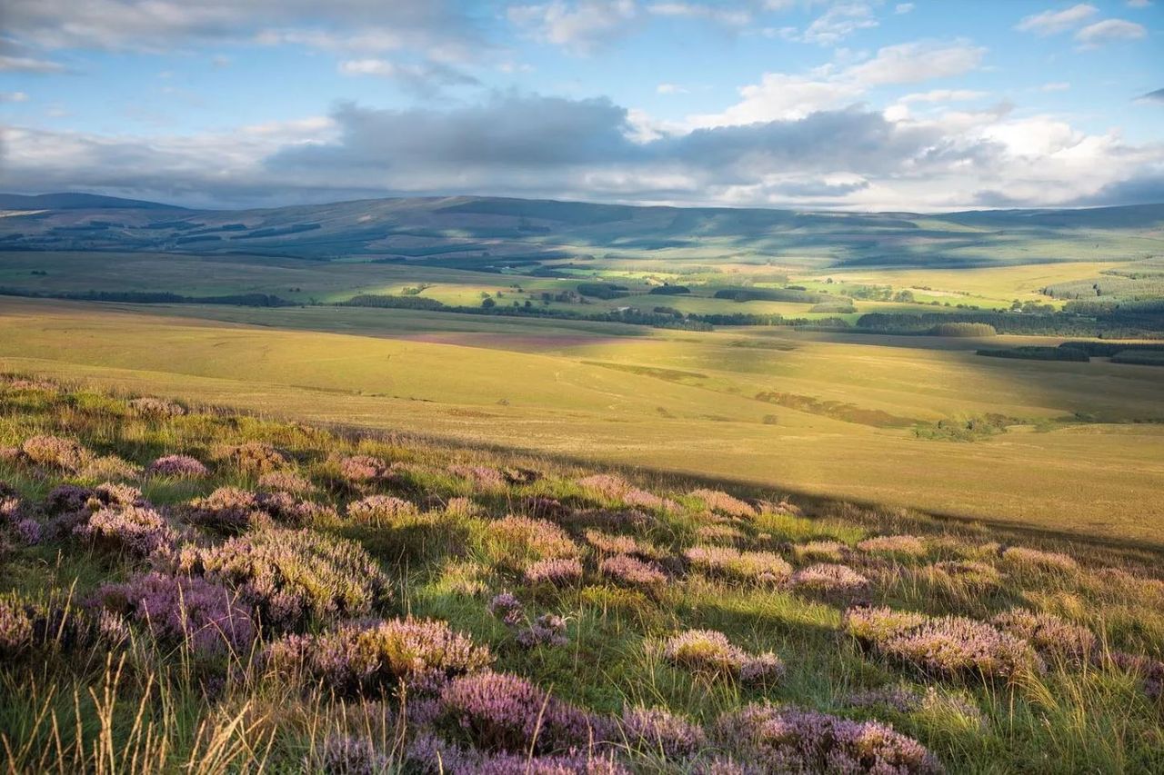 Oxygen Conservation buys remainder of Langholm Moor