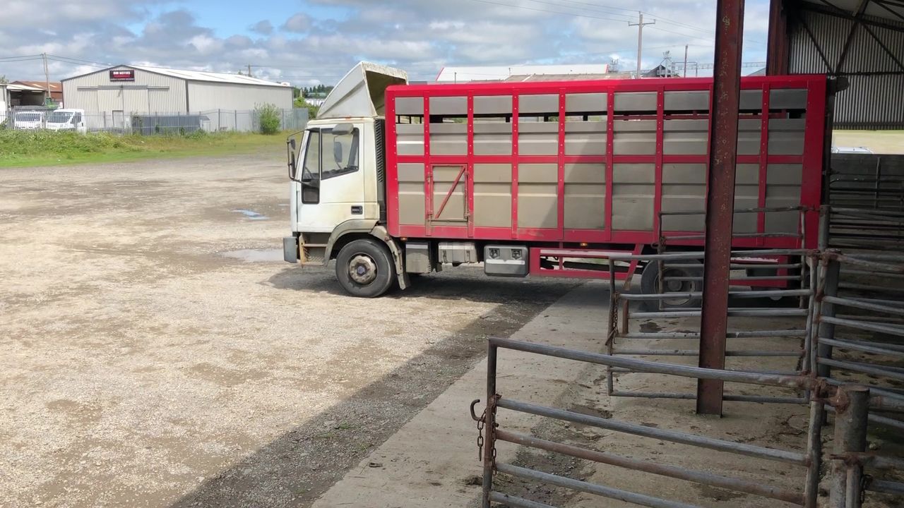 Banning live exports is a 'major blow' - NFU Cymru