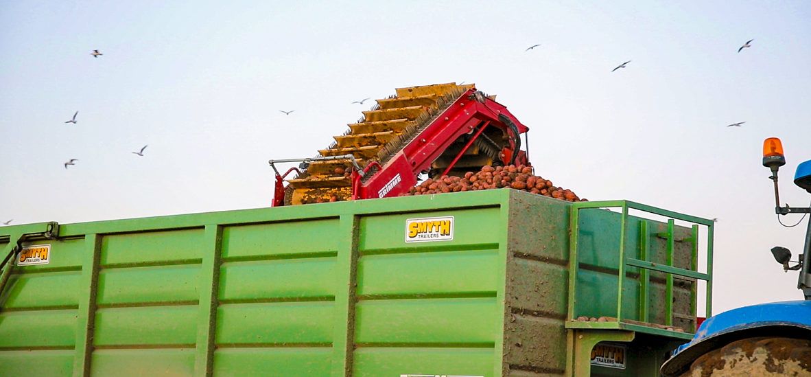 Potato harvest 2017: 'One of the worst in living memory'