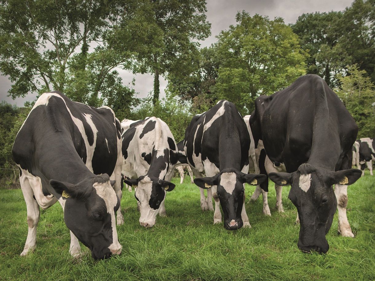Farmers in north invited on nutrient ‘study tour’ in Wexford