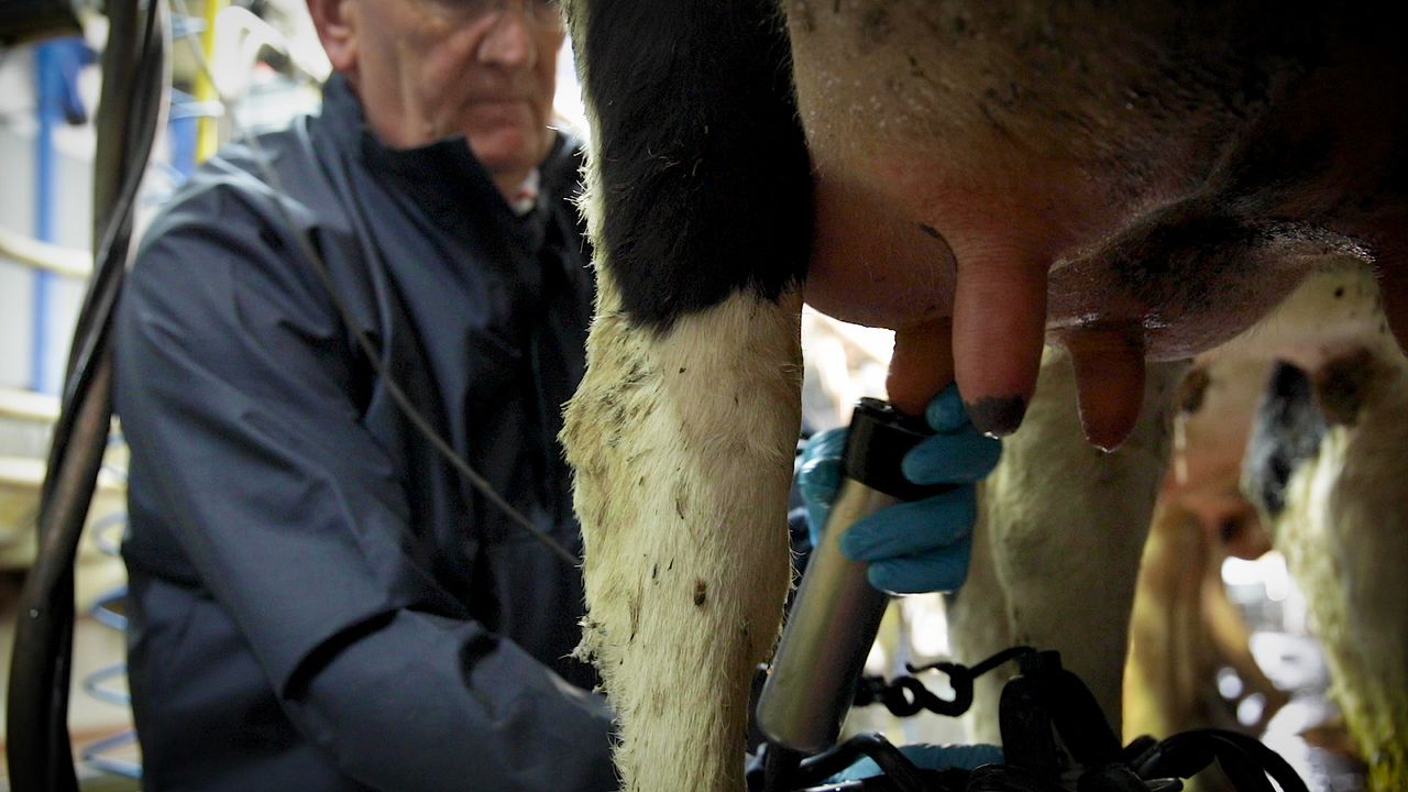 Concern remains but issues with ‘mixed origin’ milk have yet to transpire