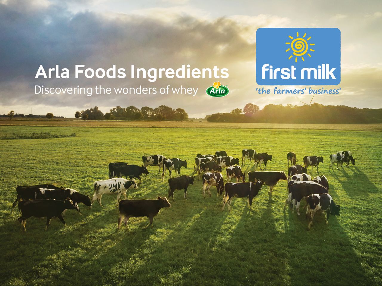 First Milk announces dairy partnership with Arla Foods