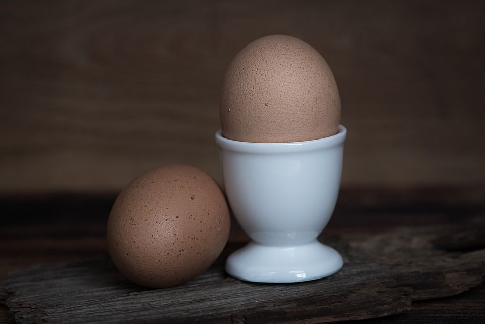 Sainsbury's egg farmer group to include over 100 farmers