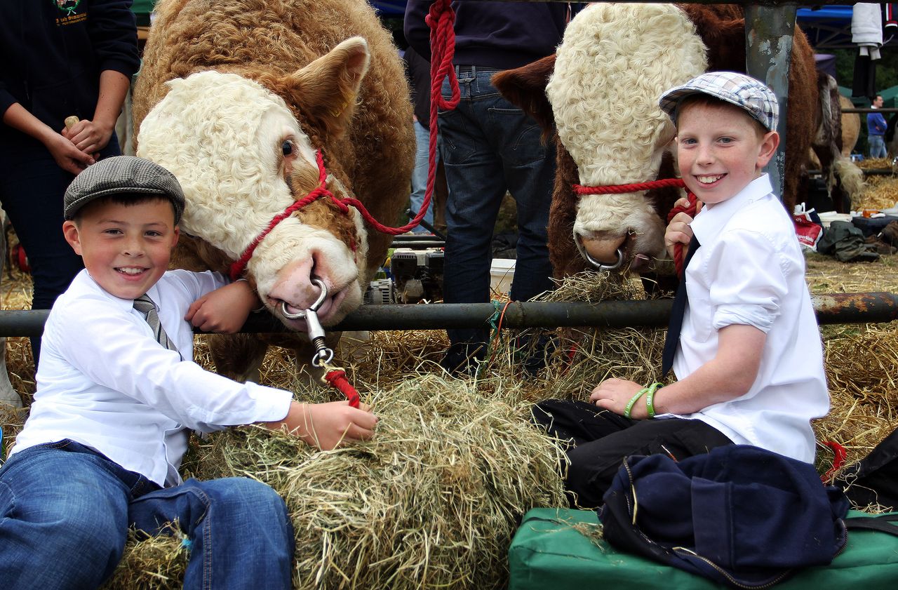 Why 15,000 people are set to attend Virginia Show this year
