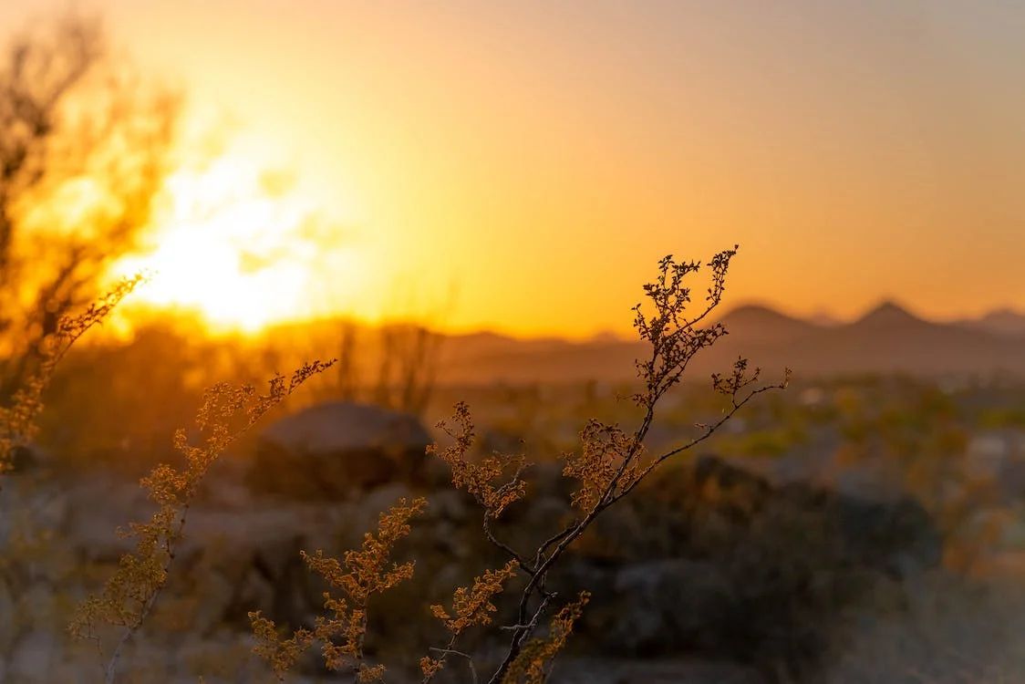 April 2024 hottest on record globally