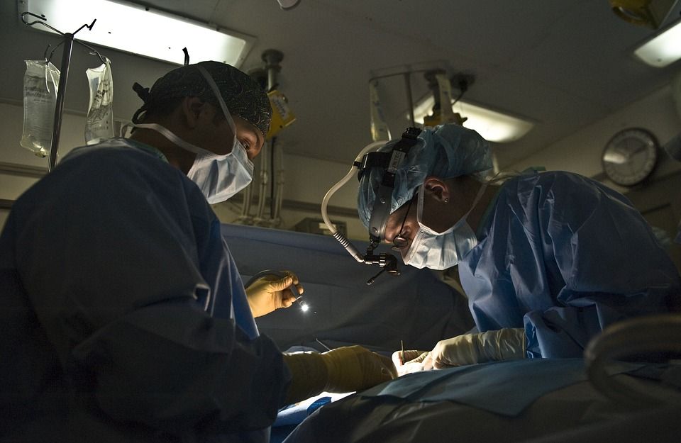 Pig heart successfully used for first time in human transplant