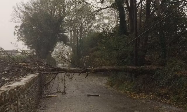 Storm Callum: Your 7-point storm repairs safety checklist - Agriland.co.uk