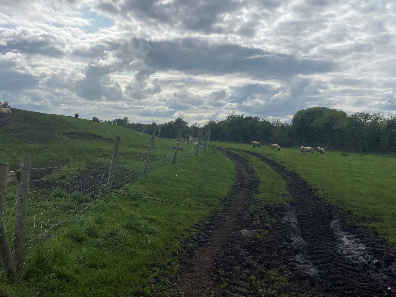 Study: Farms to decline but size to double by 2100