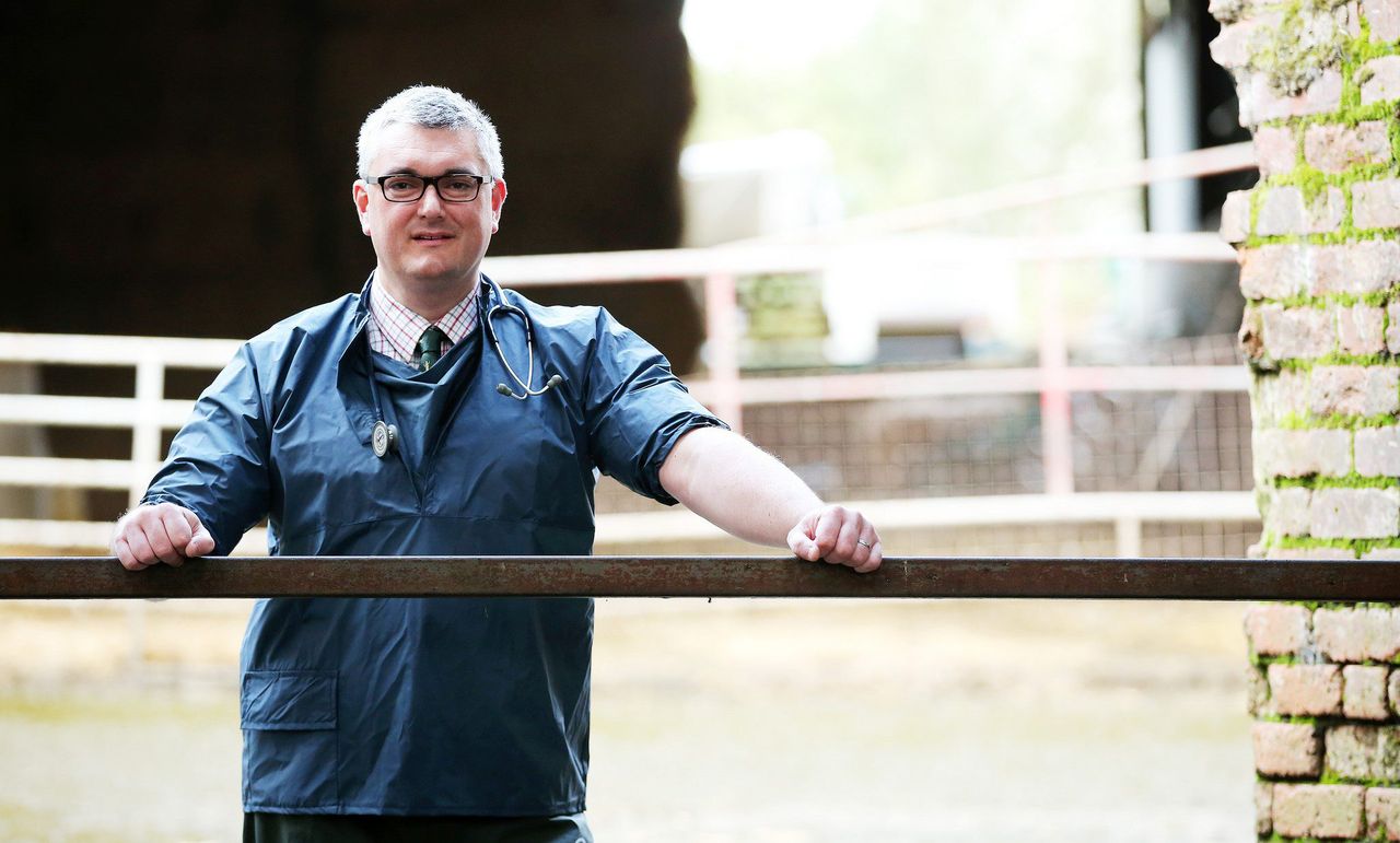 NI vet crisis looms as Brexit deadline advances