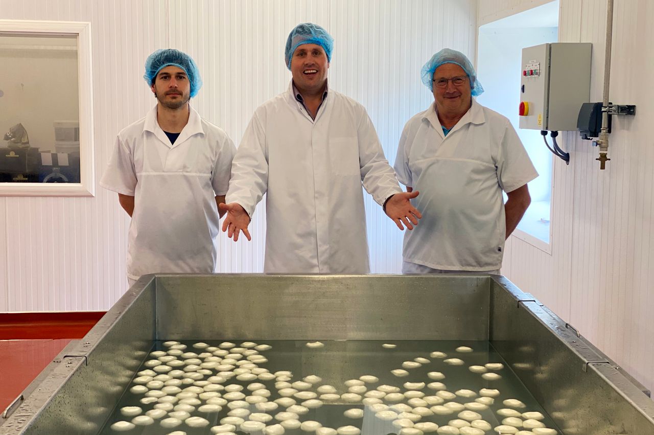 The Buffalo Farm starts production on Scotland’s first buffalo mozzarella