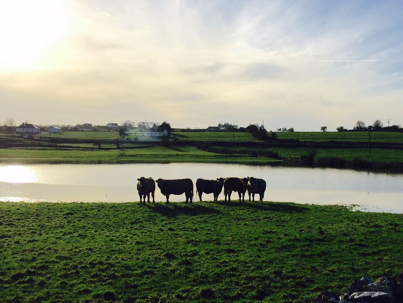 Farmers in the east are offering to help their flooded western counterparts