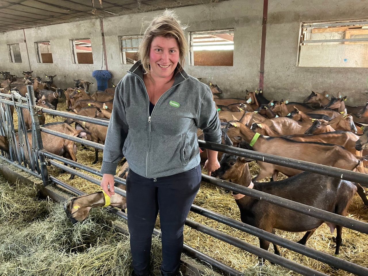 Receiving a 90c/L milk price on 250-goat farm in France