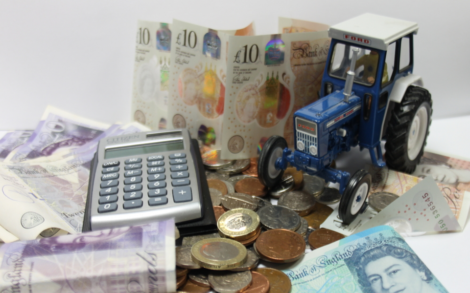DAERA outlines capping rates for farm sustainability payments