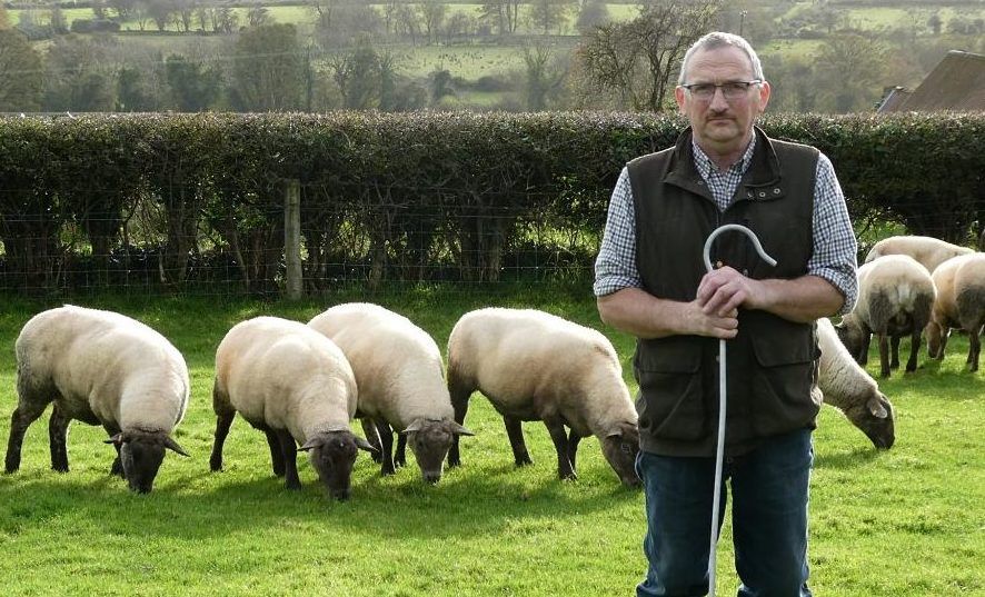 Maximising lamb production from grass based systems