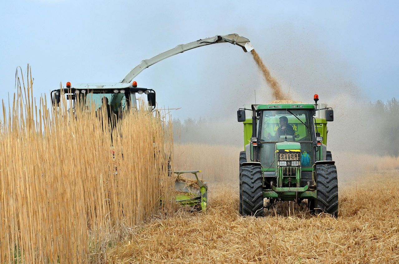 £26 million government funding to boost biomass use in the UK