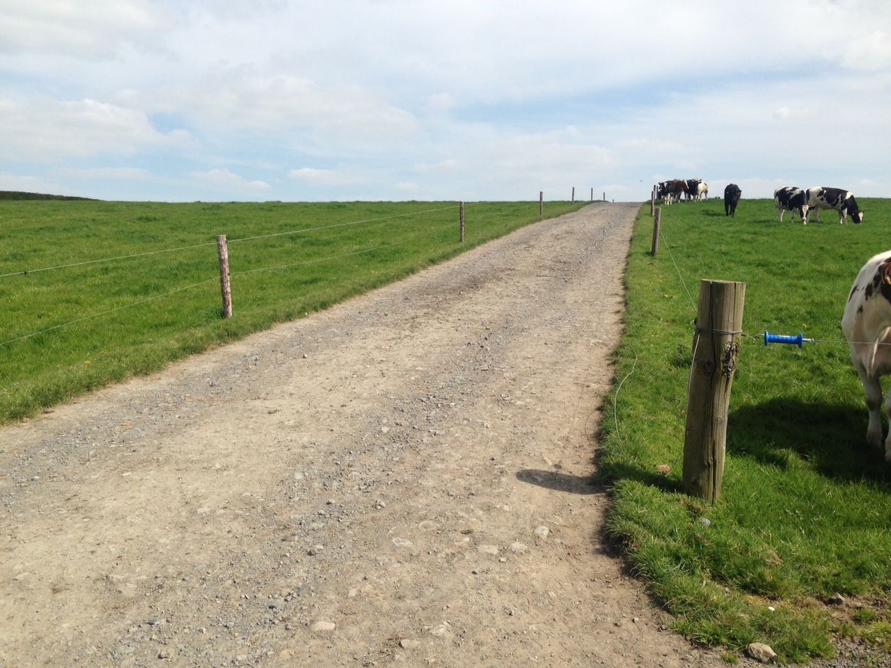 Scottish government creates 'starter farms' for new entrants