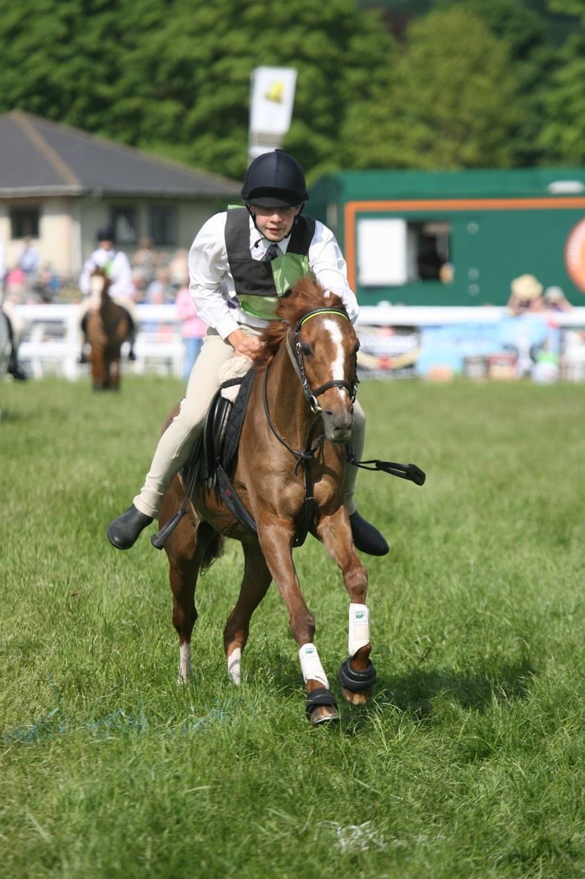 Royal Bath & West Show to run HOYS qualifiers