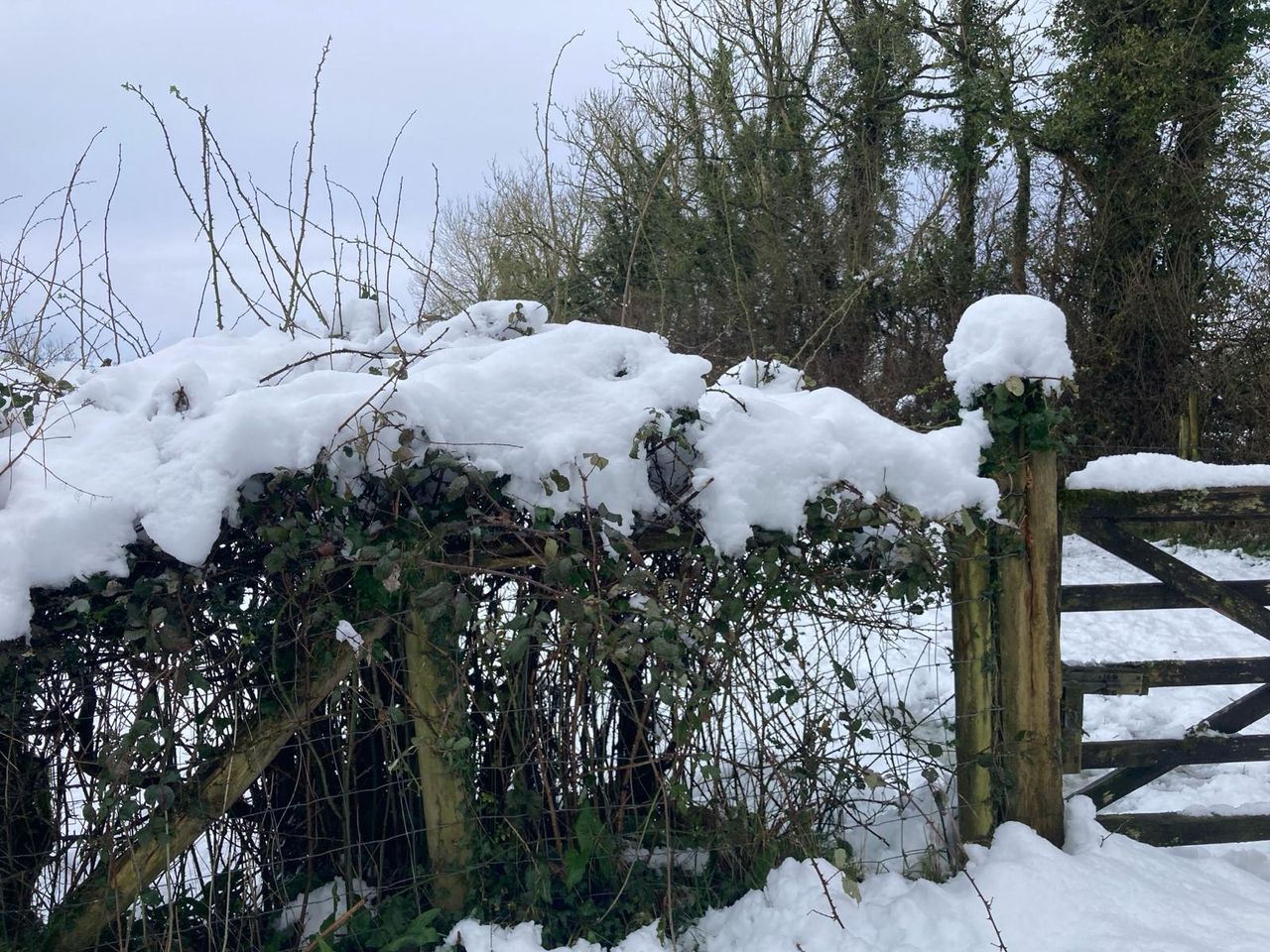 Heavy snow in Fermanagh halts agri activity