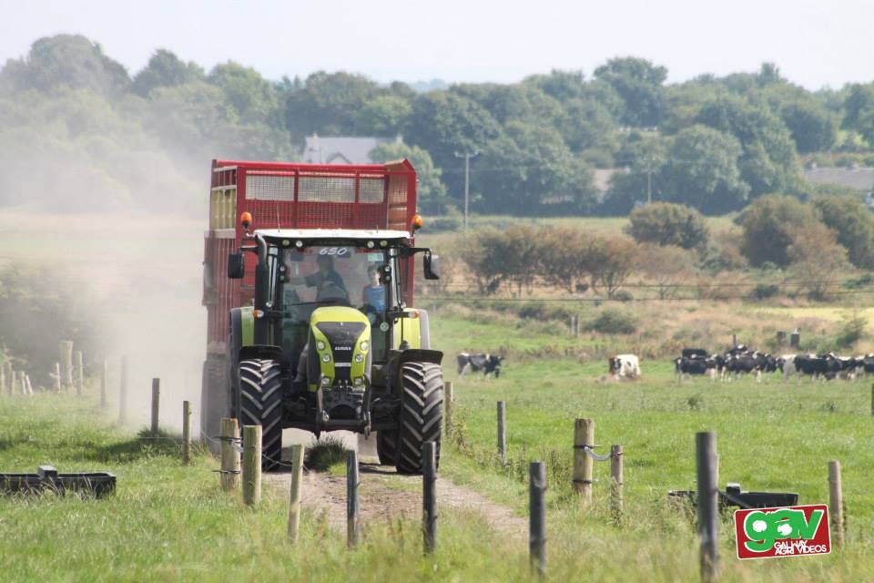 Scottish new entrants could get their own 'starter farms'