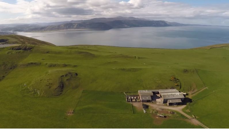 Video: Farm for lease for €1.30 a year includes free sheep flock!