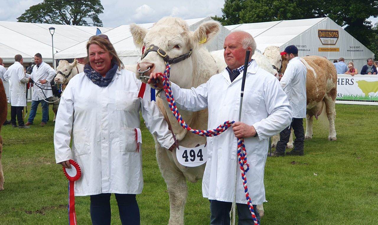Highland Show: Veteran Charolais breeder clinches beef championship
