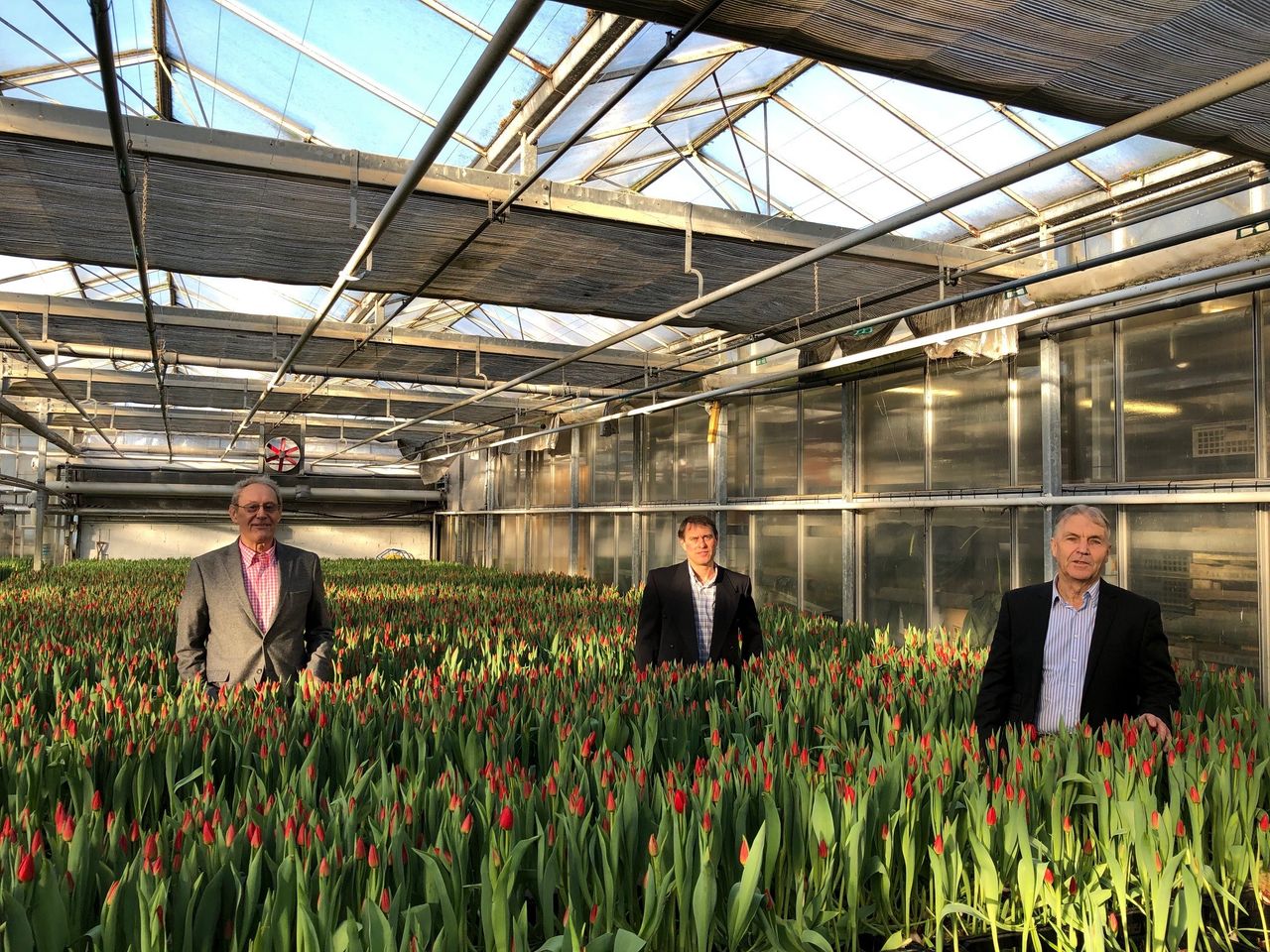 'Time to decide future of AHDB horticulture' - opposition to horticulture levy
