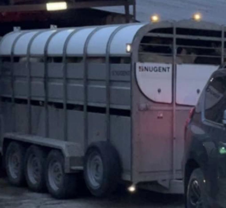 PSNI: Cattle trailer stolen from farmyard in Co. Tyrone
