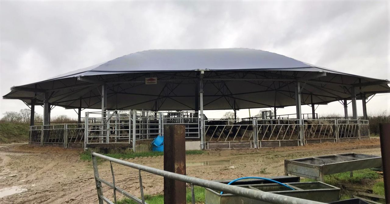 Rearing 600 calves on contract and operating a beef-finishing enterprise in the UK