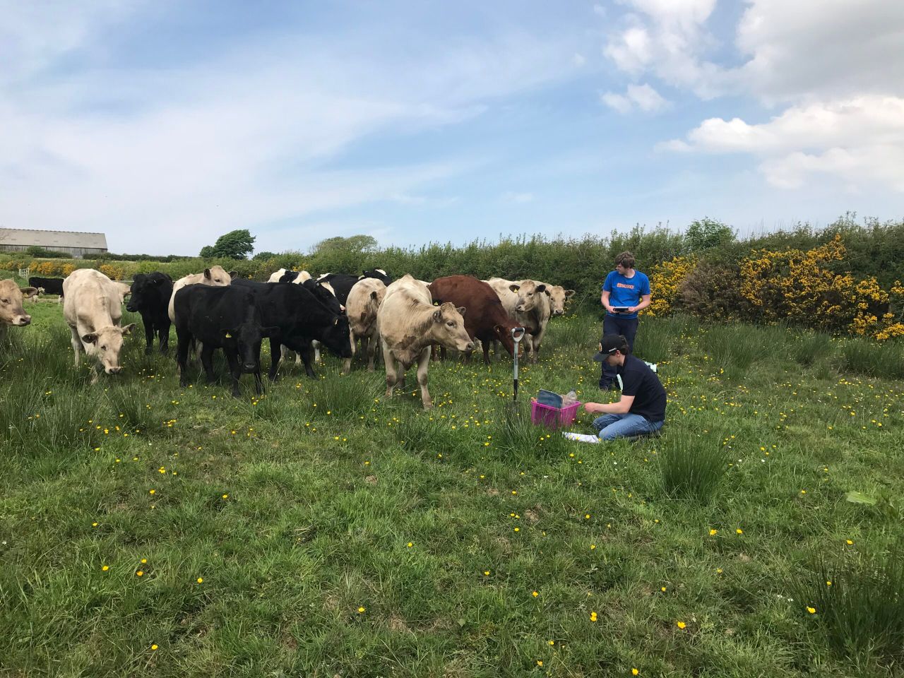 Duchy College awarded £1.2 million to spearhead net zero farming project
