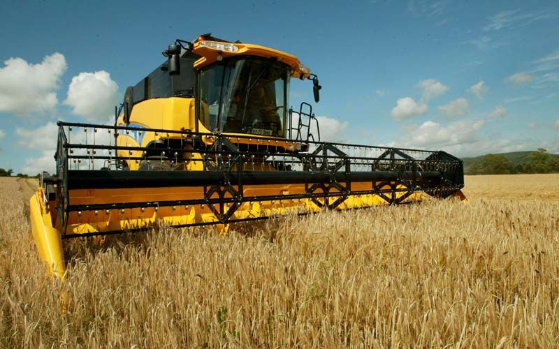 Early harvest yields show moisture levels 15-20%