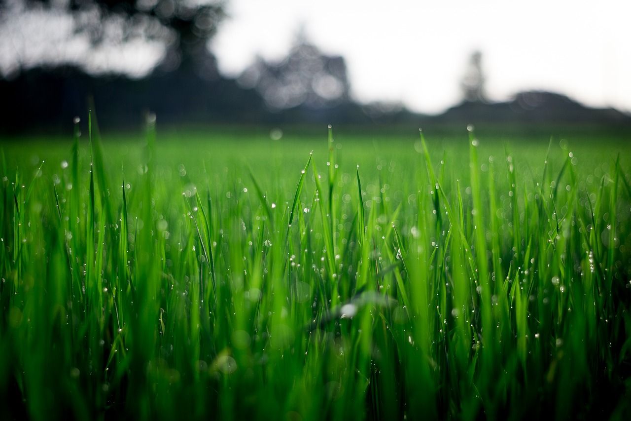 Is it legal to draw water from the source in Northern Ireland?