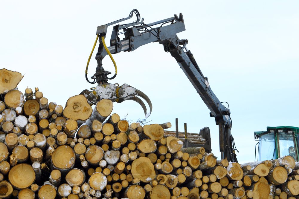 Forestry values surge in 'astonishing' year for the sector