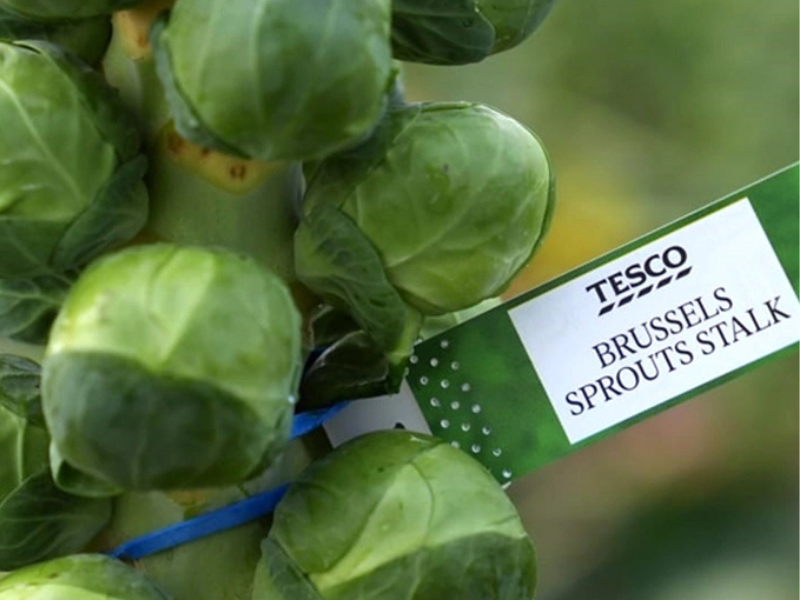 Brussel sprouts hit a growth spurt this Christmas - Tesco