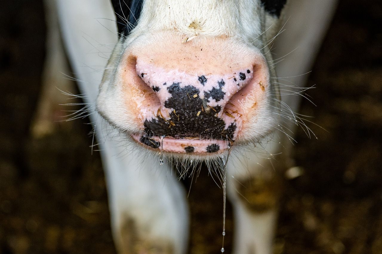 Mole Valley Farmers reports £7.6m group operating loss