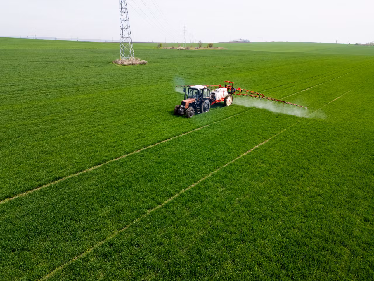 Trump suspends duties on certain fertiliser imports to US