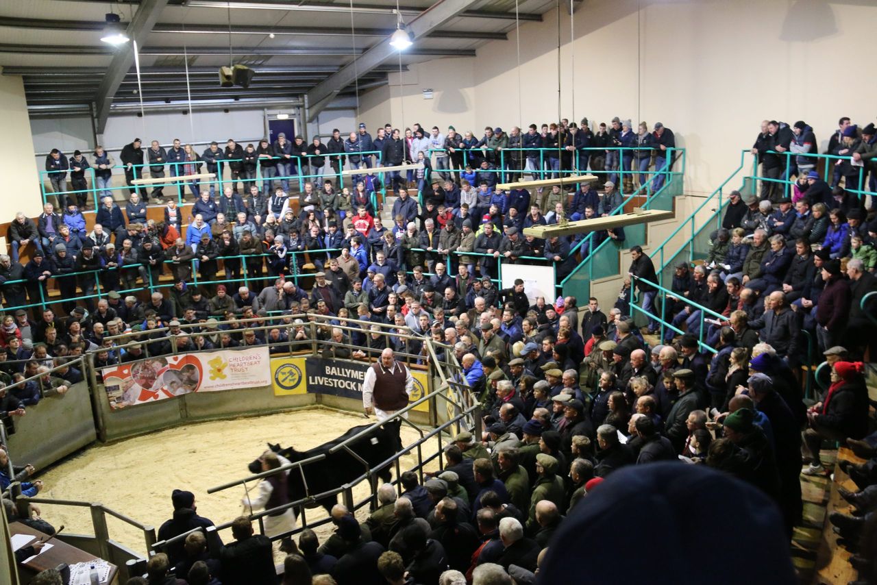 Charity livestock auctions reach just shy of £100,000 target