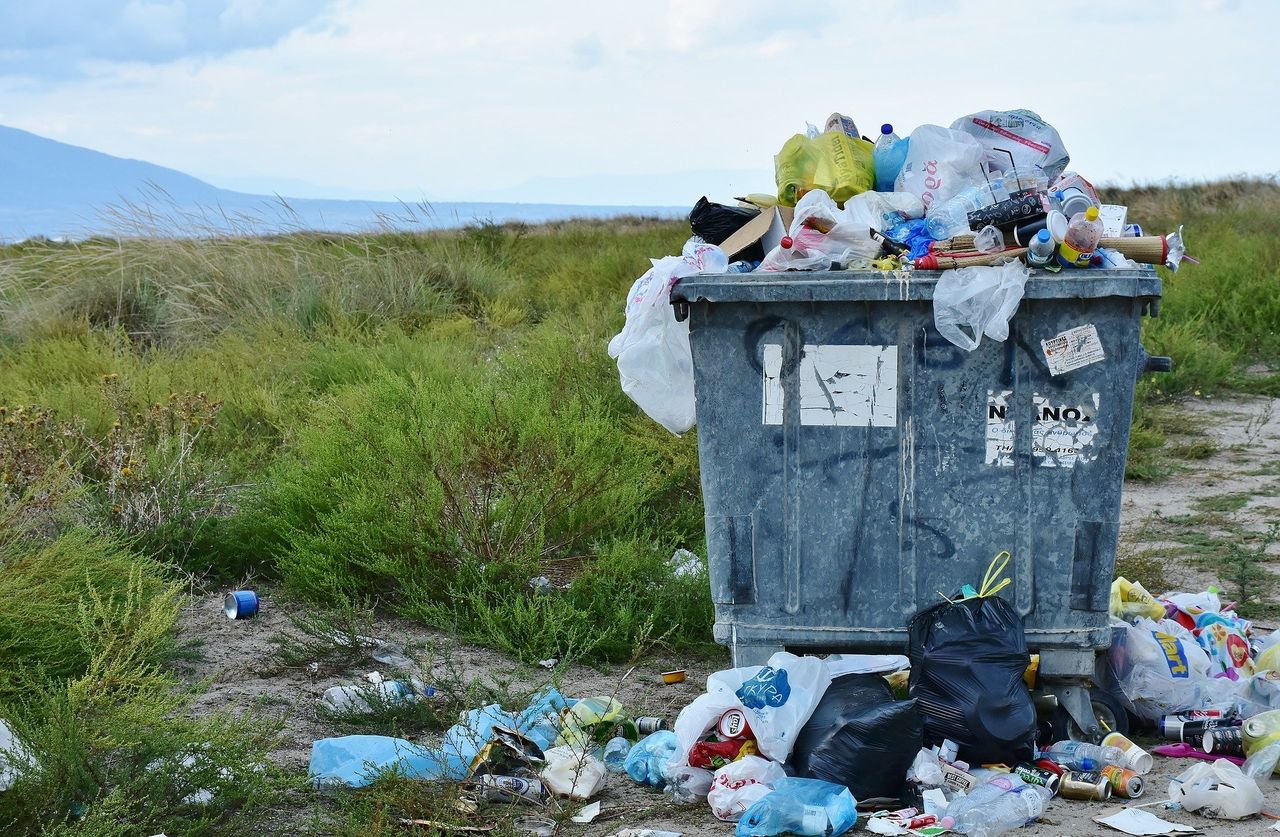 BVA warns the public of the impact litter has on animal health