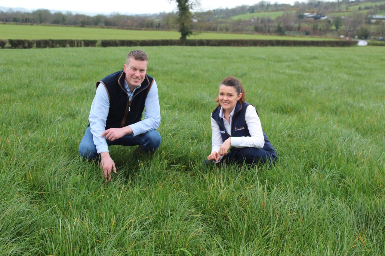 Protected urea sales continue to grow in Northern Ireland