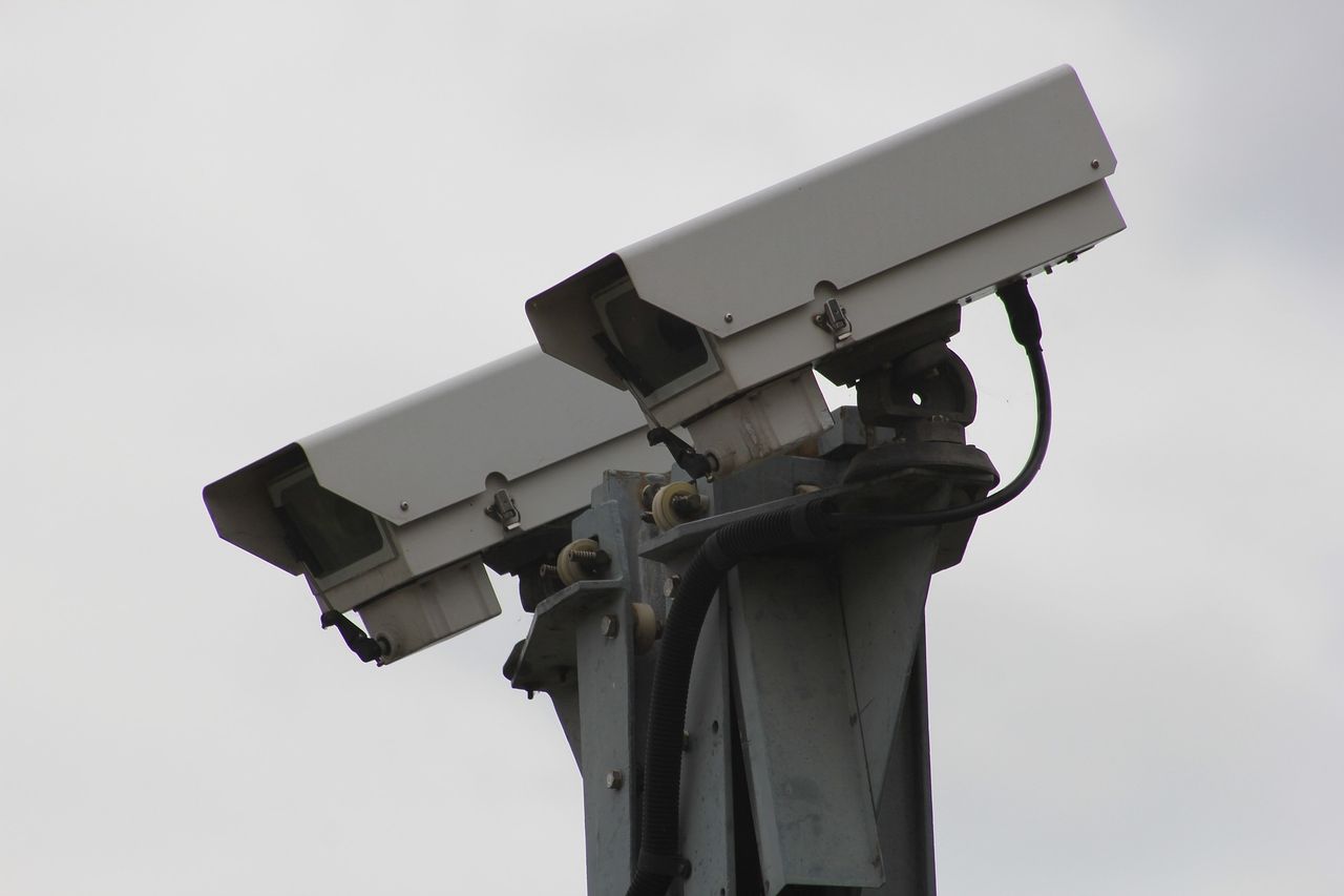 Wales: Consultation on CCTV in slaughterhouses opens