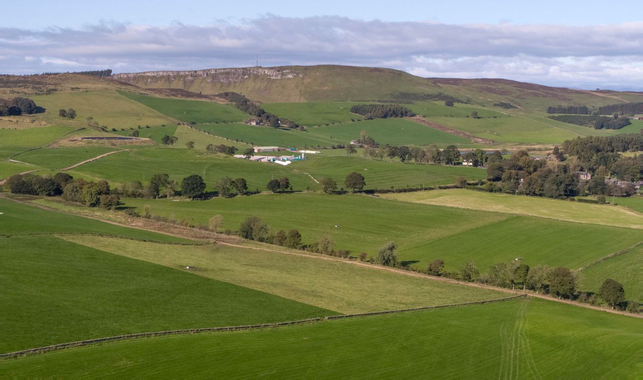 Savills farmland forecast 2020 – local factors to dominate