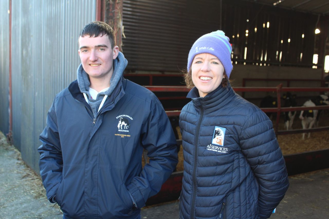 Dairy breeding landscape in NI is fast-changing