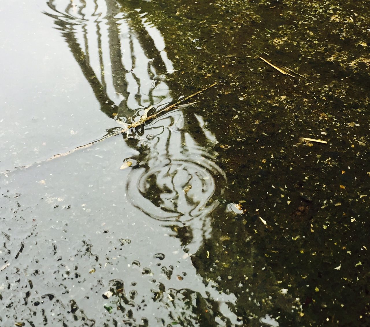 Wind and rain weather warnings in place across the UK