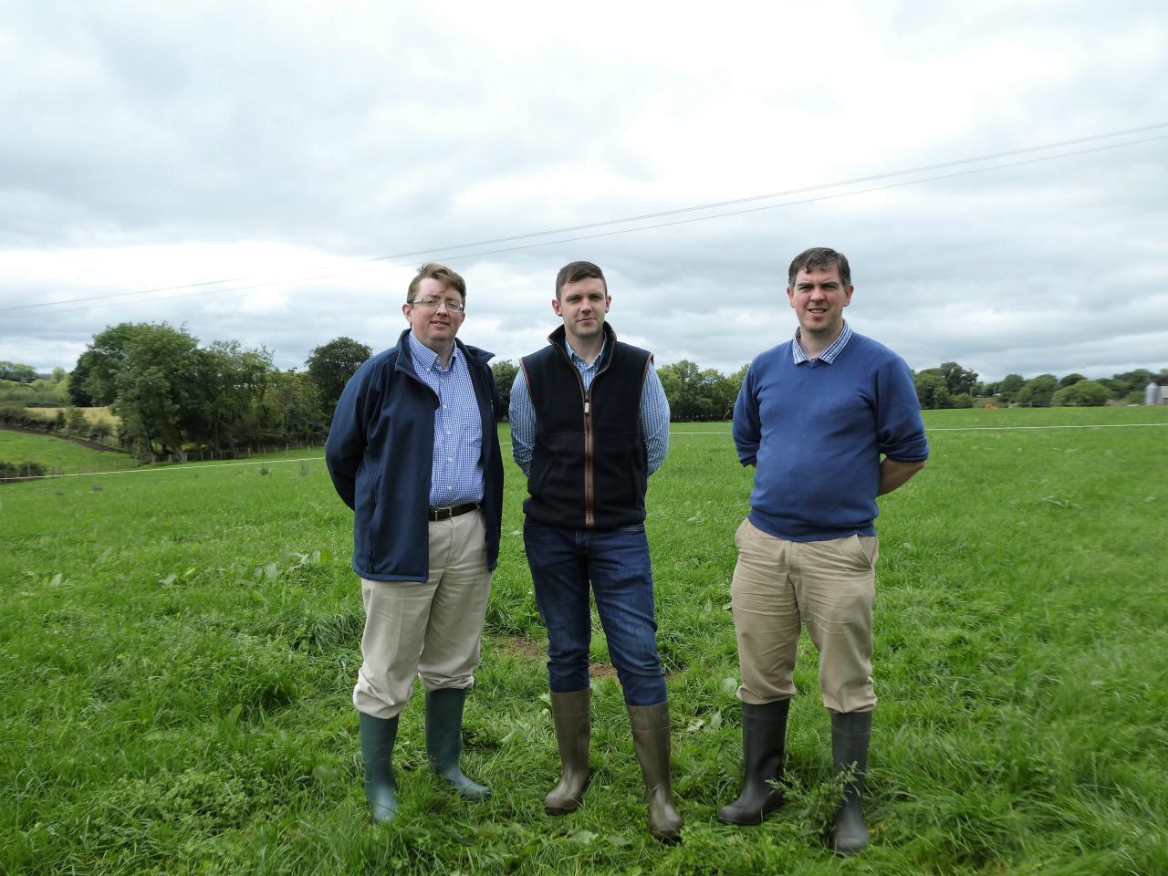 Grazed grass is key to success on Tyrone beef farm
