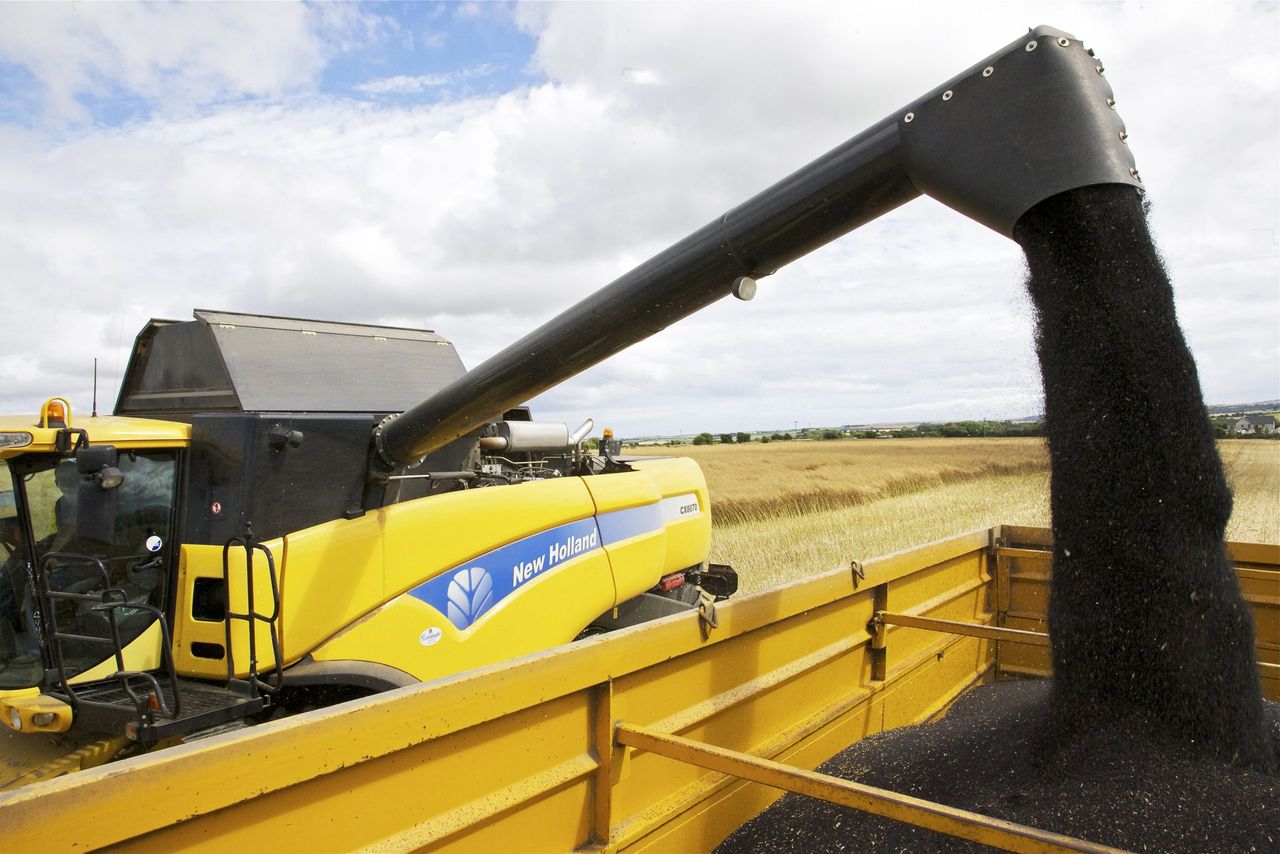 Trials find Sulphur response lower than expected