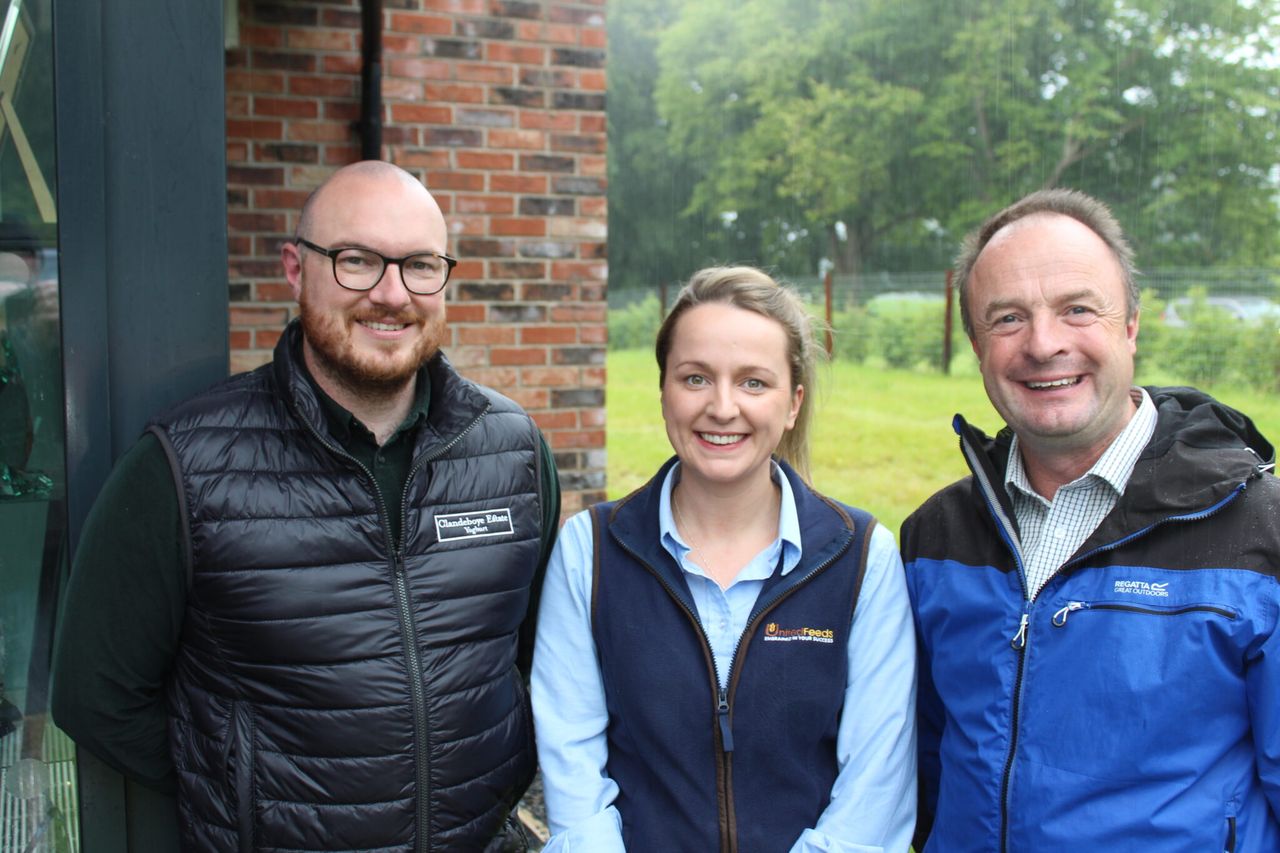 Yoghurt production and Jersey cows at Clandeboye Estate