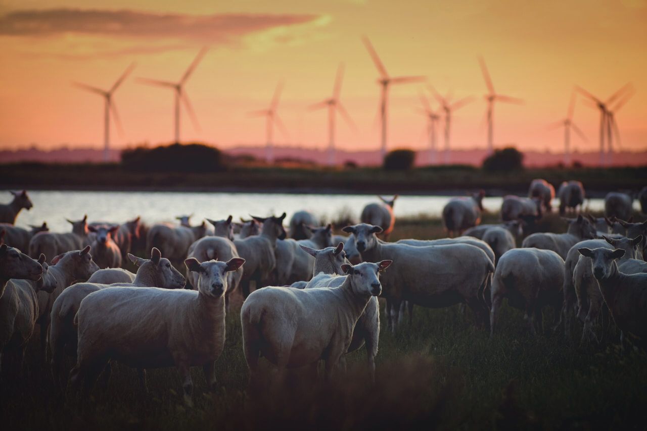 CLA joins consortium building long-term approach to environmental policymaking