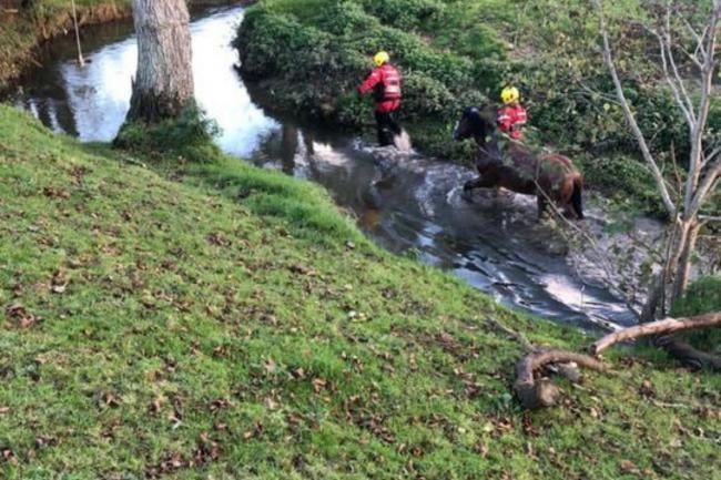 Firefighters called to rescue horse stuck in a river