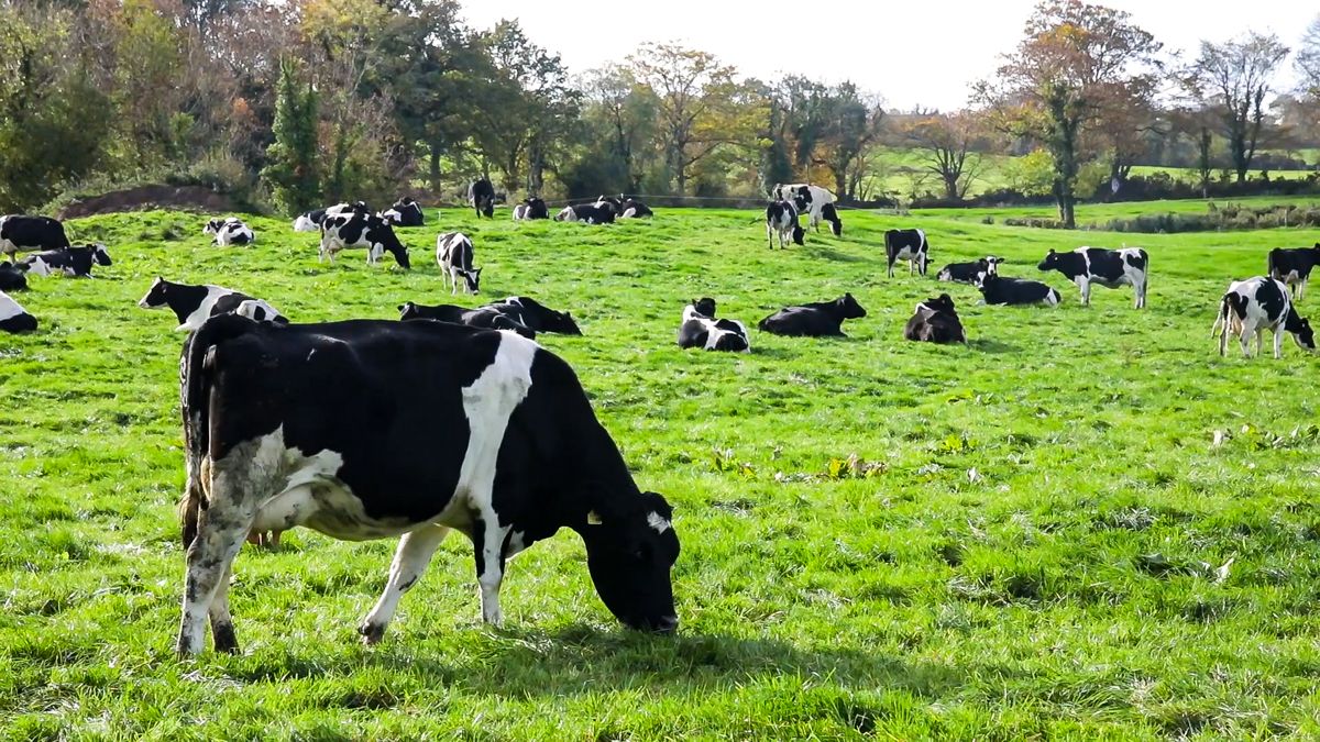 Tesco and Harper Adams launch programme for young farmers